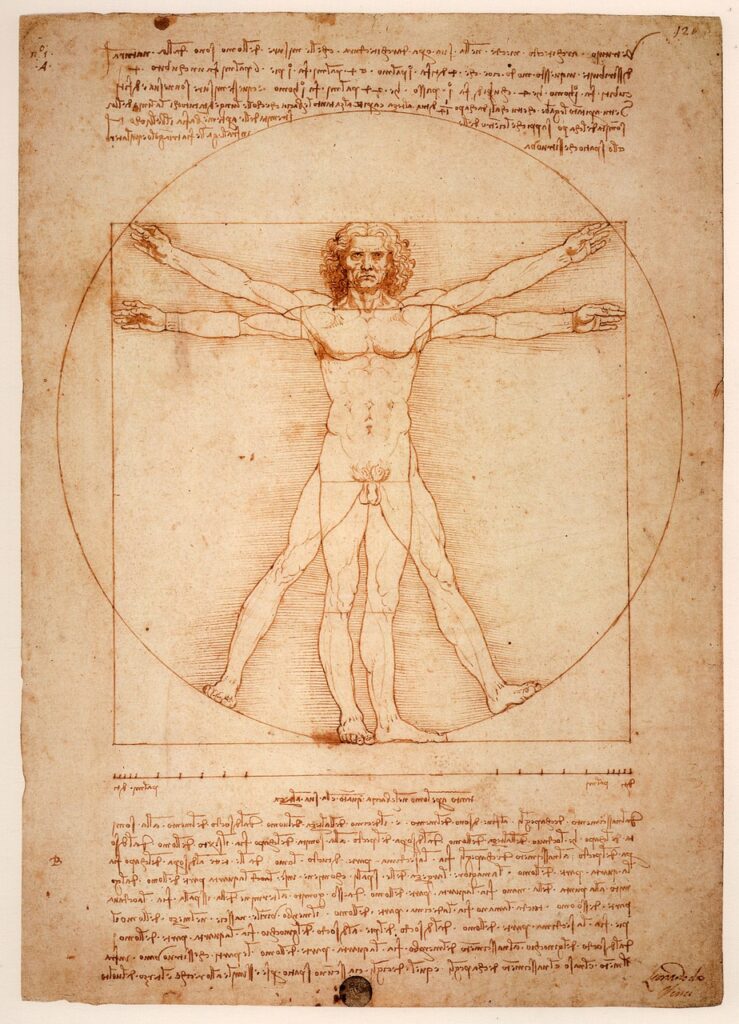 leonardo da vinci, the vitruvian man, uomo vitruviano